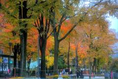 2025OSEAL-15 2025OSEAL-15